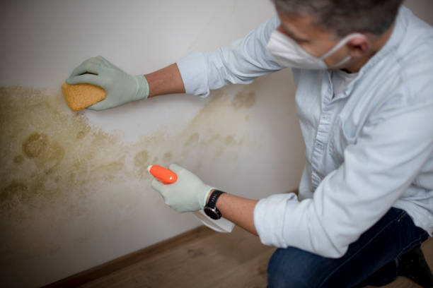 Water Damage Restoration in Woodbury, TN